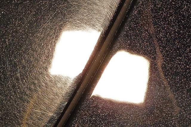 Paint Correction